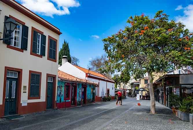 Things to see in Funchal Old Town