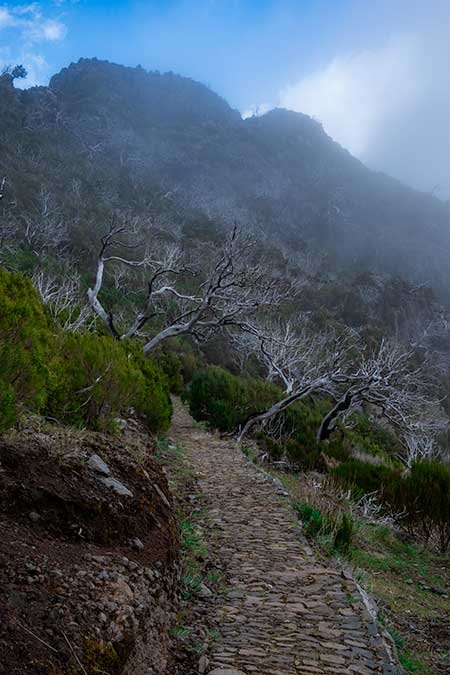 Hike from Pico Aireiro to Pico Ruivo