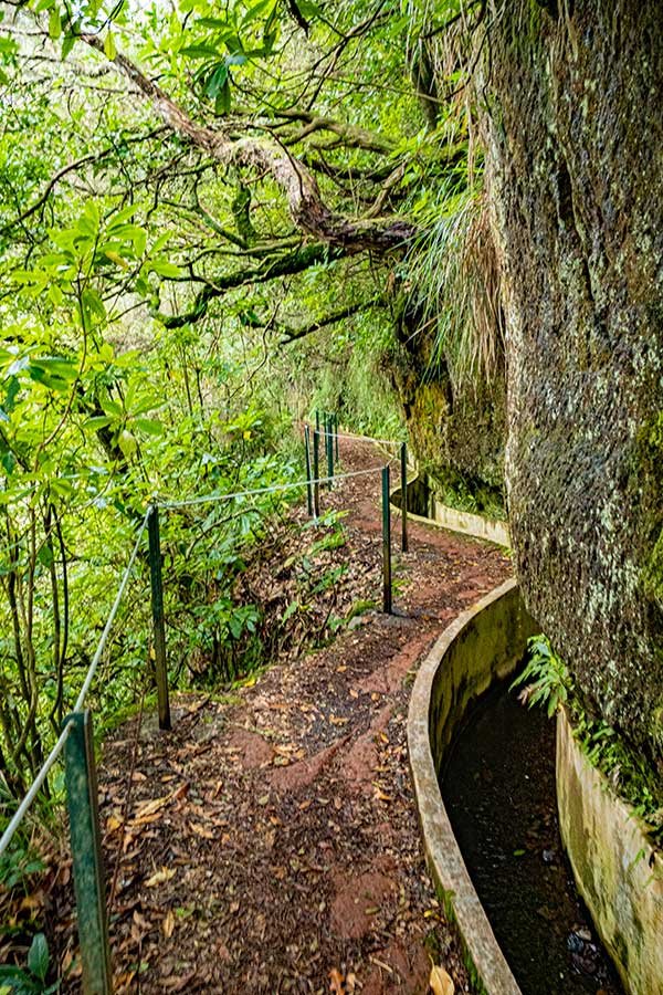 Best Hikes in Madeira You Can do Without the Car