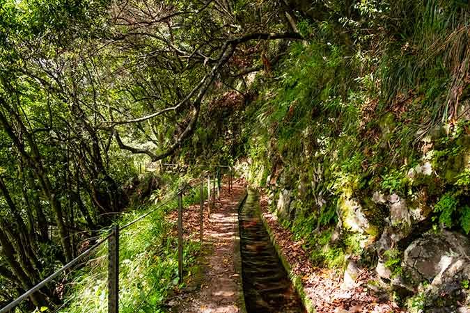 Best Hikes in Madeira you can do without the car - Levada do Rei