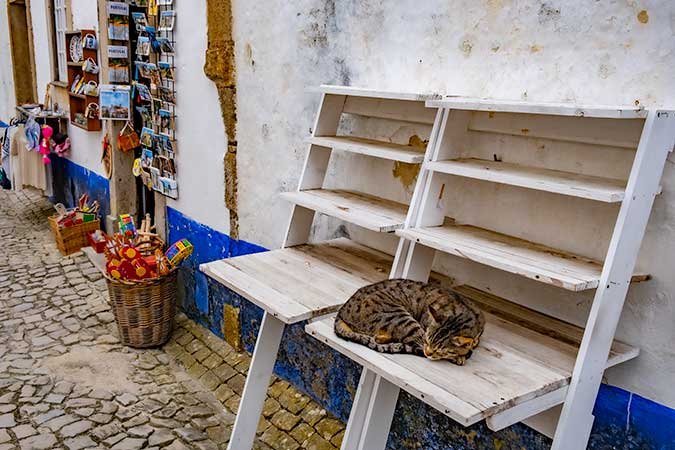 Day trip to Obidos from Lisbon - Things to do in Obidos